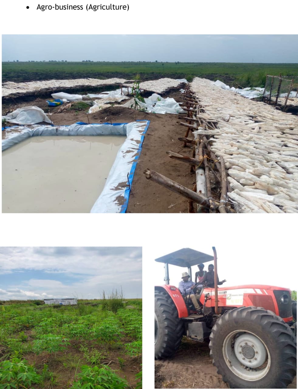 Agro-business - Agriculture